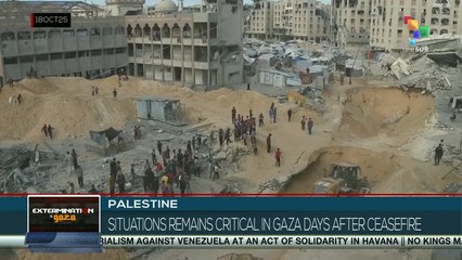 Palestine: Situation remains critical in Gaza days after ceasefire
