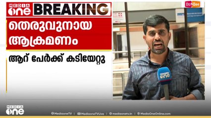 ഒറ്റപ്പാലത്ത് വ്യാപകമായി തെരുവുനായ ആക്രമണം... രണ്ടിടങ്ങളായി 6 പേർക്ക് കടിയേറ്റു
