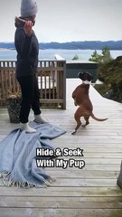 E adorabil 😍 ☺️, nu era chiar îngrijorat, știa că ea nu intrase 😂🔥😍