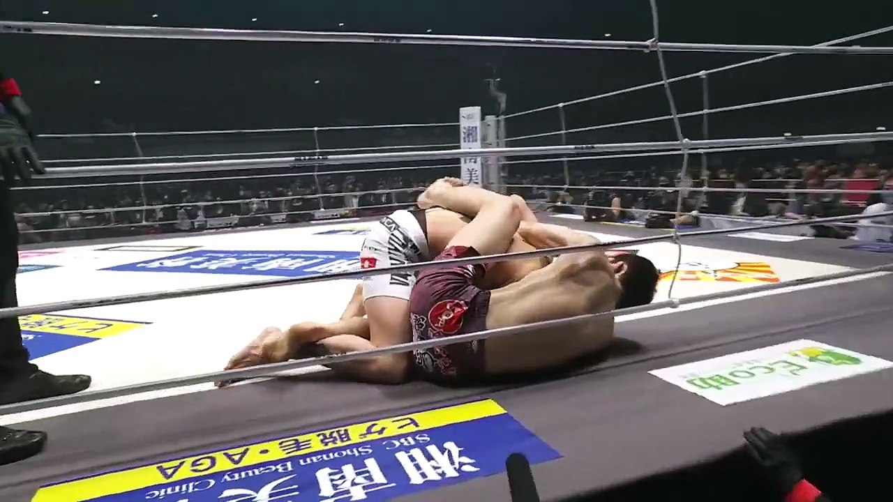 MMA Submissions 2025 Part 29  Unbelievable Chokes, Armbars & Fight Finishes