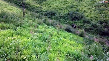 The Cursed Love (2025) Episode 1 | English Subtitles | Full HD