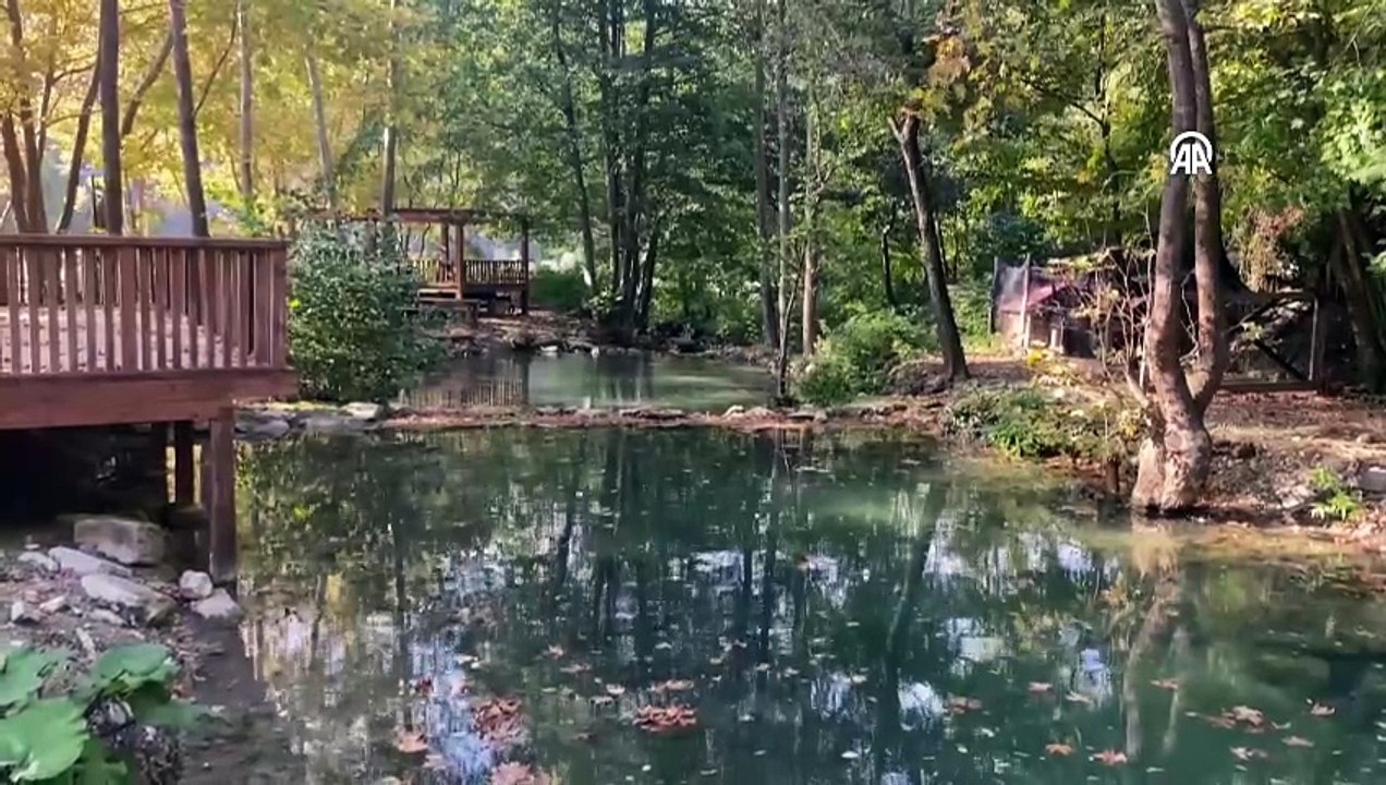 Şelalede sonbahar renkleri