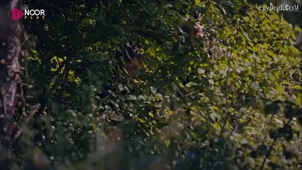 المؤسس عثمان الموسم الاول مدبلج الحلقة  25 جزء 2