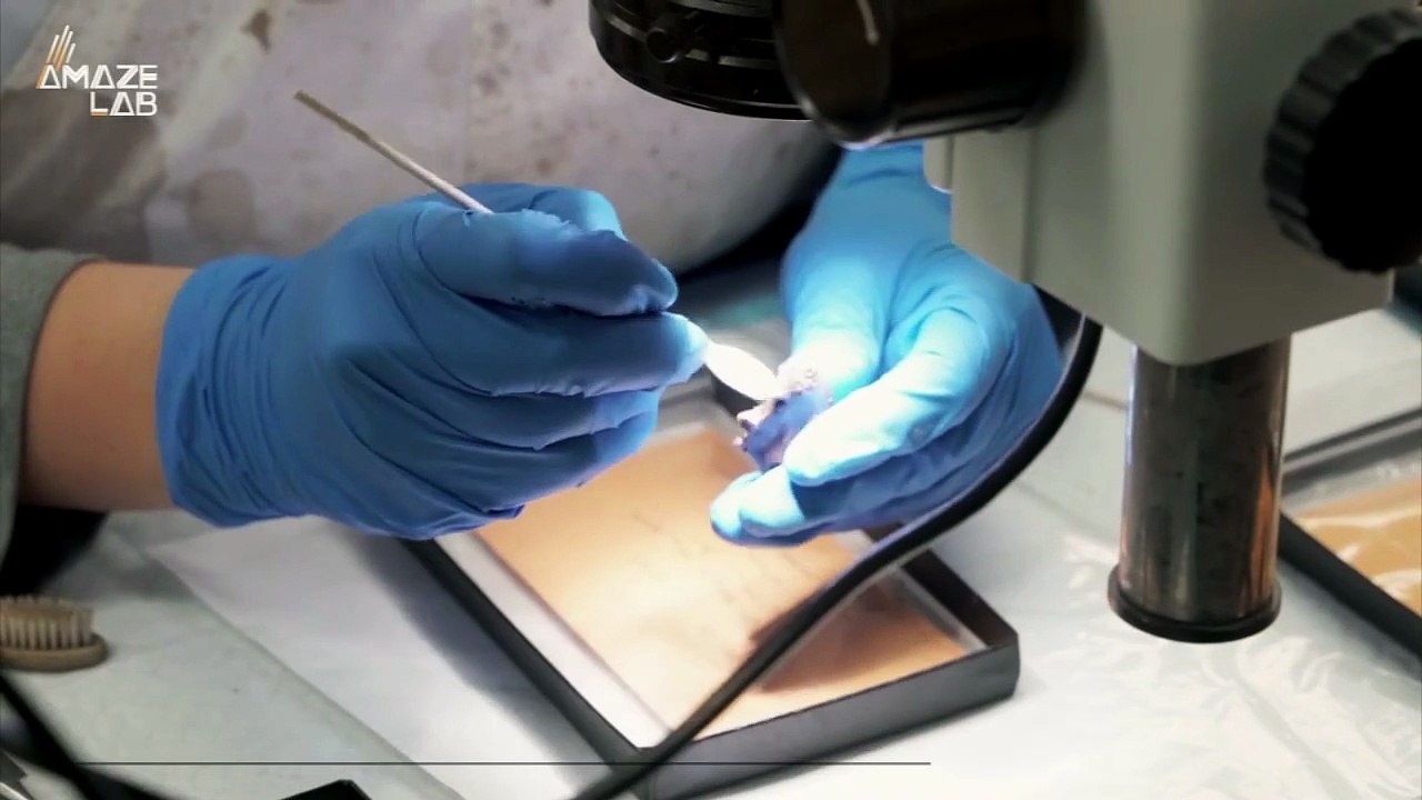 You Have to Check Out This Insane Mammal That Actually Walked With the Dinosaurs