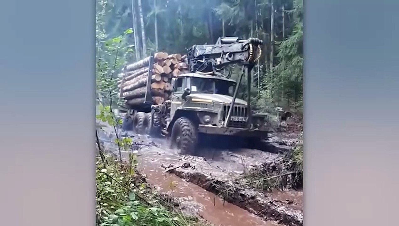 spectacular workplace accidents  #5 (2025)