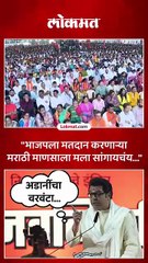 भाजपच्या मतदारांना सल्ला, राज ठाकरे काय म्हणाले