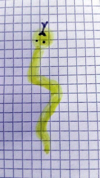 Serpente giallo