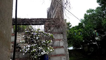 Ansiedad - Tormenta, lluvia, algo de viento, amanecer - Tacuarembó (12/10/2025)