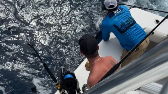 Crew battles a Marlin on the Blue Ocean boat at Blue Sky Cabo adventure