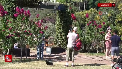 Antalya'da Havı sıcaklığı 26 deniz suyu sıcaklığı 25 derece ölçüldü