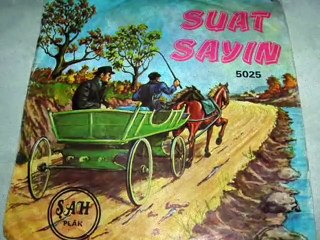 suat sayın-YOLCU VE ARABACI