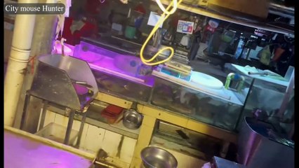 Night-Market Rat Hunt: 10 Headshots in 1 Hour! | Raw Pest-Control POV