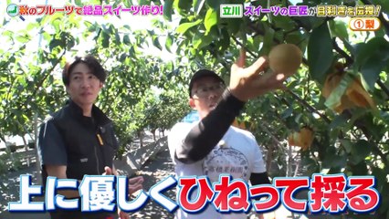 相葉マナブ 2025年日10月19日 実りの秋！おすすめのフルーツで絶品スイーツを作ろう！