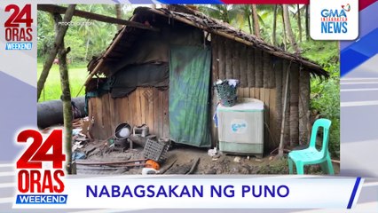 Nabagsakan ng puno #shorts | 24 Oras Weekend