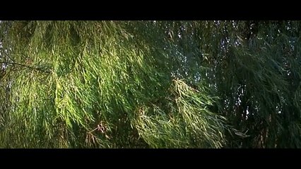 Must-Watch Korean Thriller Movie 🎬