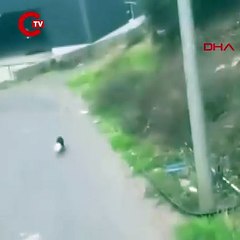 Başı plastik kaba sıkışan yavru köpeği kamyon şoförü kurtardı