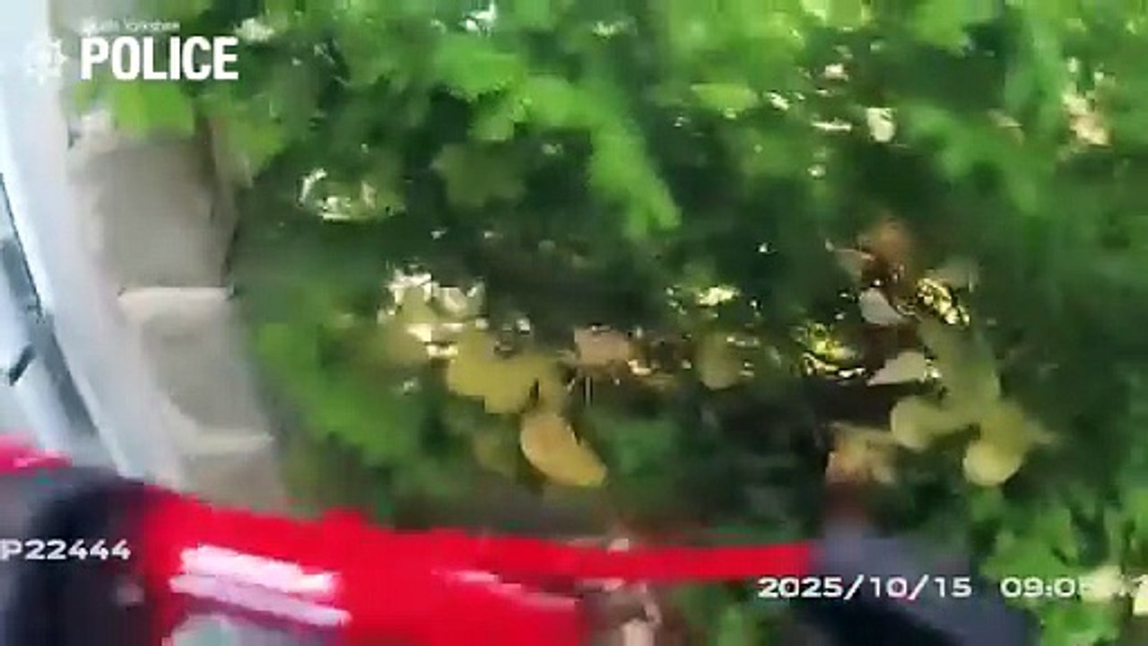 Watch police smash through doors to Sheffield homes with high-value cannabis grows