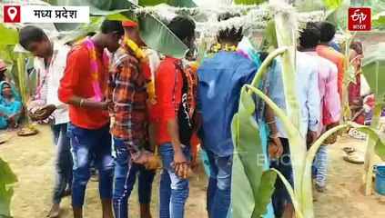 दीपावली विंध्य की अनोखी परंपरा, सेमल के पत्तों से देते हैं लक्ष्मी जी को निमंत्रण