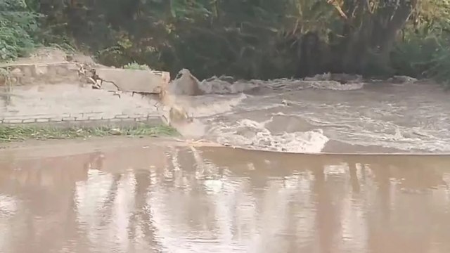 Video: सागरमल गोपा शाखा की नहर टूटी, खेत हुए जलमग्न... फसलें चौपट