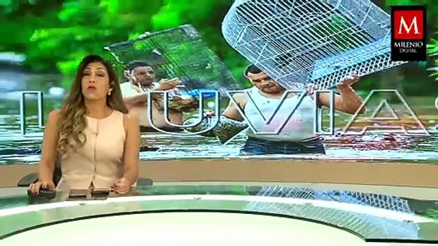 Inician desalojos preventivos en Tampico por aumento del río Pánuco