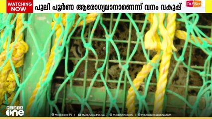 കോഴിക്കോട് കൂടരഞ്ഞിയിൽ കിണറ്റിൽ വീണ പുലിയെ പുറത്തെടുത്തു