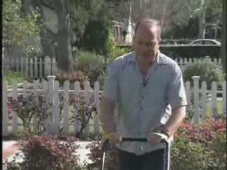 Go Ahead, Sneeze About It!