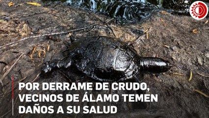 Por derrame de crudo, vecinos de Álamo temen daños a su salud
