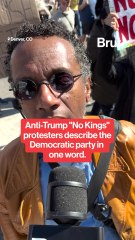 "No Kings" protesters describe the Democratic party in one word.