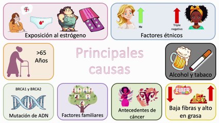 Cáncer de mama - La explicación más completa #elcuerpoymas #salud #medicina #Cancerdemama