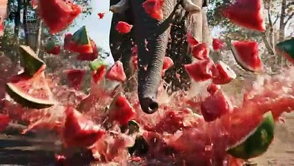 Elephant Watermelon Feast - Ultimate Crushing & Eating ASMR Satisfaction 🐘🍉