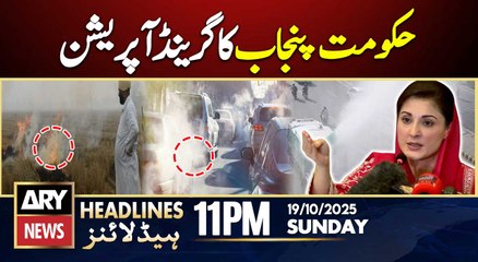 Punjab govt's grand operation against smog || ARY News 11 PM Headlines | 19th Oct 2025