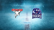 Highlights von Kölner Haie - Straubing Tigers