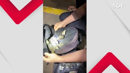 Fiscalização na Ponte da Amizade descobre mochilas cheias de jacarés, cobras e lagartixas