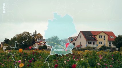 Little Kids, Big Money (2/2) Bottle-Fed with Public Money