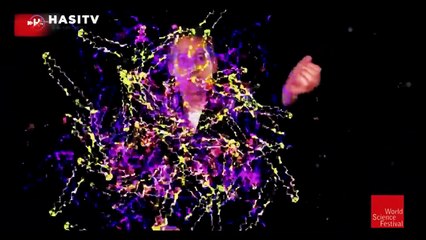 The Divine Frequency | Nikola Tesla & The Law of Attraction Explained