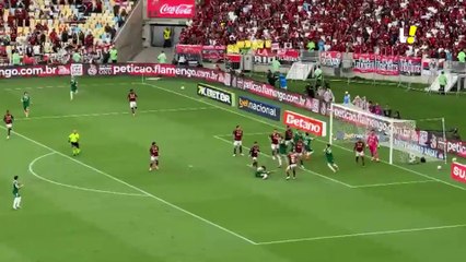 Gómez detona arbitragem de Wilton Pereira Sampaio após derrota do Palmeiras para o Flamengo