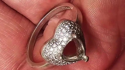 Beach Metal Detecting