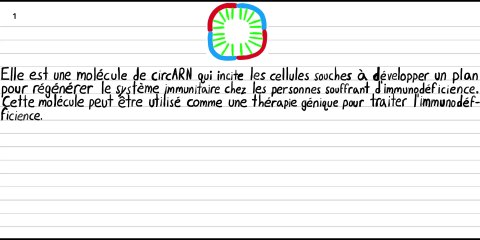 Thérapie génique pour traiter l’immunodéficience