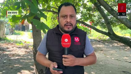 Aseguran avioneta y cargamento de cocaína tras cateo en Chiapas