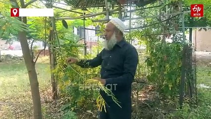 बड़वानी में हरी-भरी हुई बंजर जमीन, केजर आदिल ने बनाए ट्री-गार्ड, 130 में से 80 पौधे बने घने पेड़