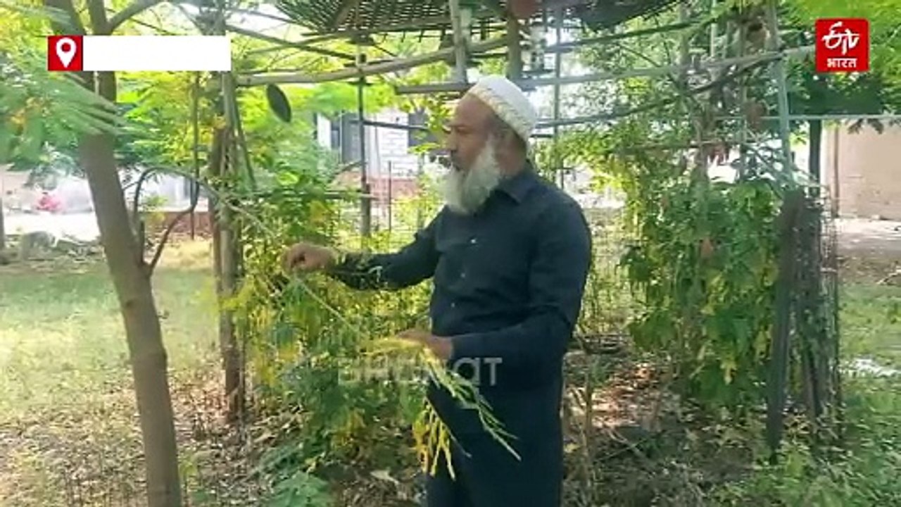 बड़वानी में हरी-भरी हुई बंजर जमीन, केजर आदिल ने बनाए ट्री-गार्ड, 130 में से 80 पौधे बने घने पेड़
