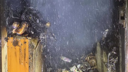 라이터로 바퀴벌레 잡으려다 불낸 20대 체포...9명 중경상 / YTN