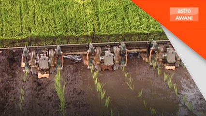 Inovasi karbon: Dari makmal menyelamat dunia