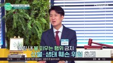 일출 보러 왔다가 혈압 오른다!