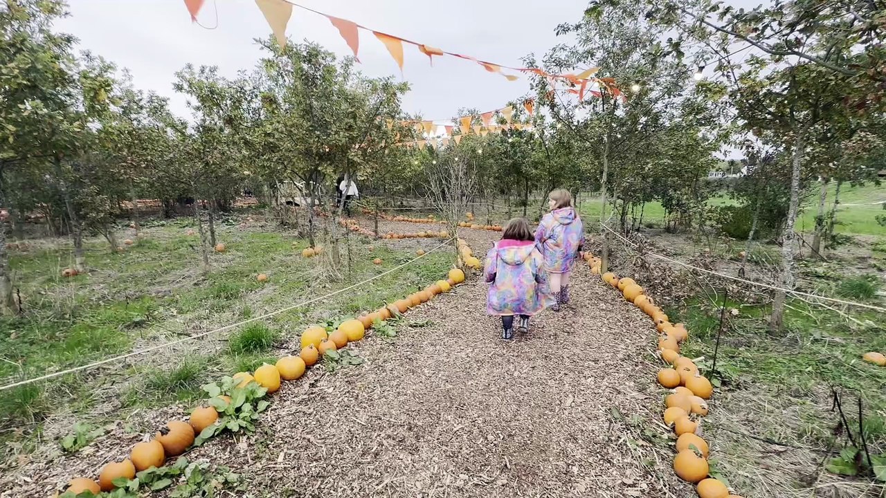 Pumpkin Village at National Adventure Farm