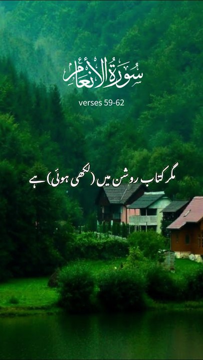 surah Al inaam || 1 million followers #islamicknowledge #ajmalrazaqadri #molanatariqjameel #jashaneidmiladnabi #unfrezzmyaccount #quran #madina #trending #islamic #islam #muslim #viral #1millionviews #capcut