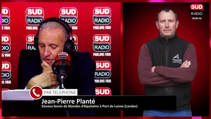 "Nous sommes bloqués !" : La France suspend les exportations de bovins, les agriculteurs en colère