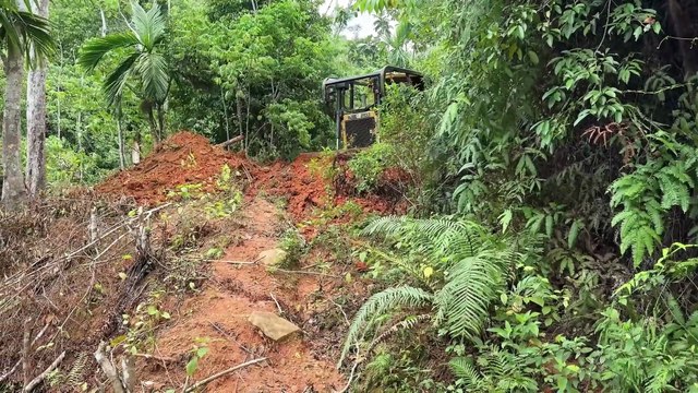 The Importance of Servicing the D6R XL Bulldozer in Repairing Old Plantation Roads