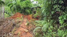 The Importance of Servicing the D6R XL Bulldozer in Repairing Old Plantation Roads