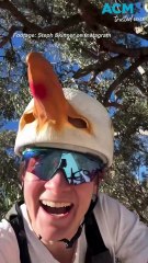 The science of magpie swooping: one cyclist’s mission to deter springtime attacks